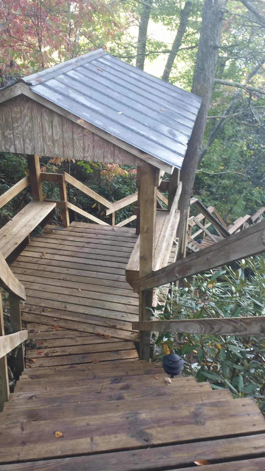 Metal roofed shelter over wooden steps on a wooded walkway — Skylight Repair & Installation work by our crew in Daleville